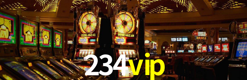 234vip App Interface